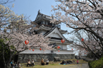 春の妙見山